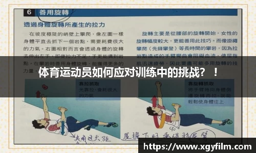 芒果体育官方网站